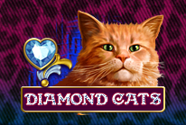 Diamond Cats